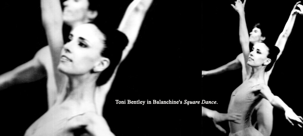 Toni Bentley | Dance Gallery